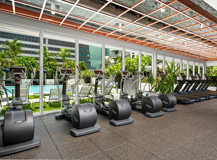 A row of elliptical trainers are lined up on a patio.